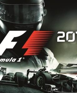 F1 2013 Steam CD Key