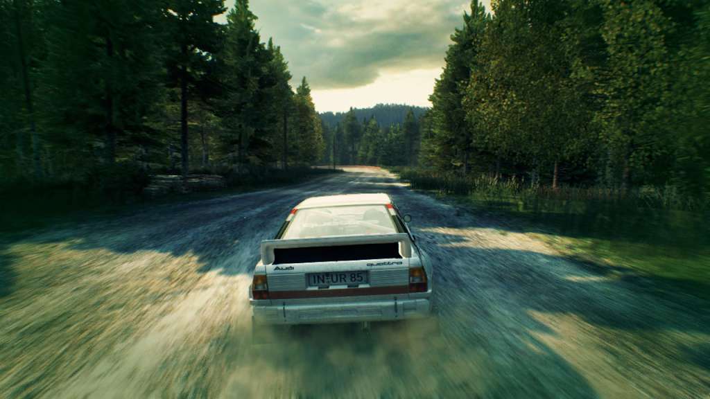 DiRT 3 Steam CD Key - Image 2