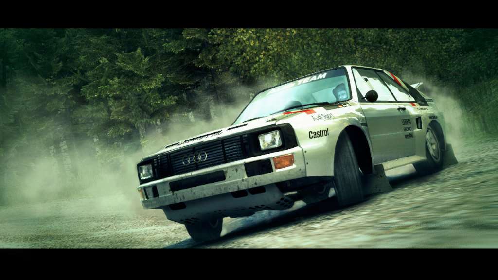 DiRT 3 Complete Edition PC Steam CD Key - Image 6