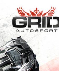 GRID Autosport + Road & Track Car Pack + Drag Pack Steam CD Key