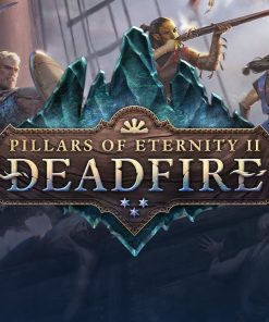Pillars of Eternity II: Deadfire GOG CD Key